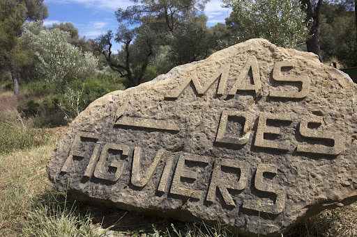 MAS