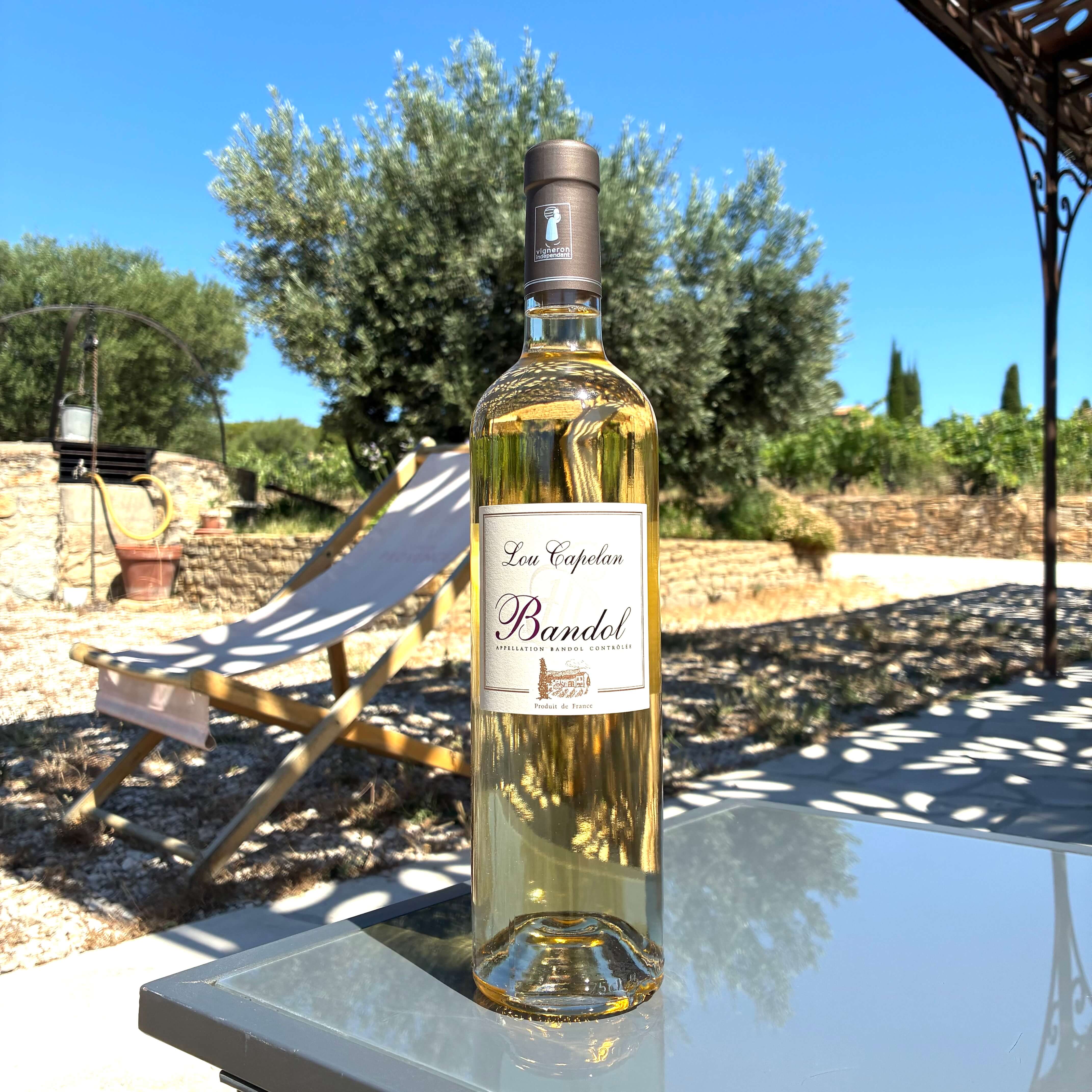 Bandol Blanc 2025 (1)