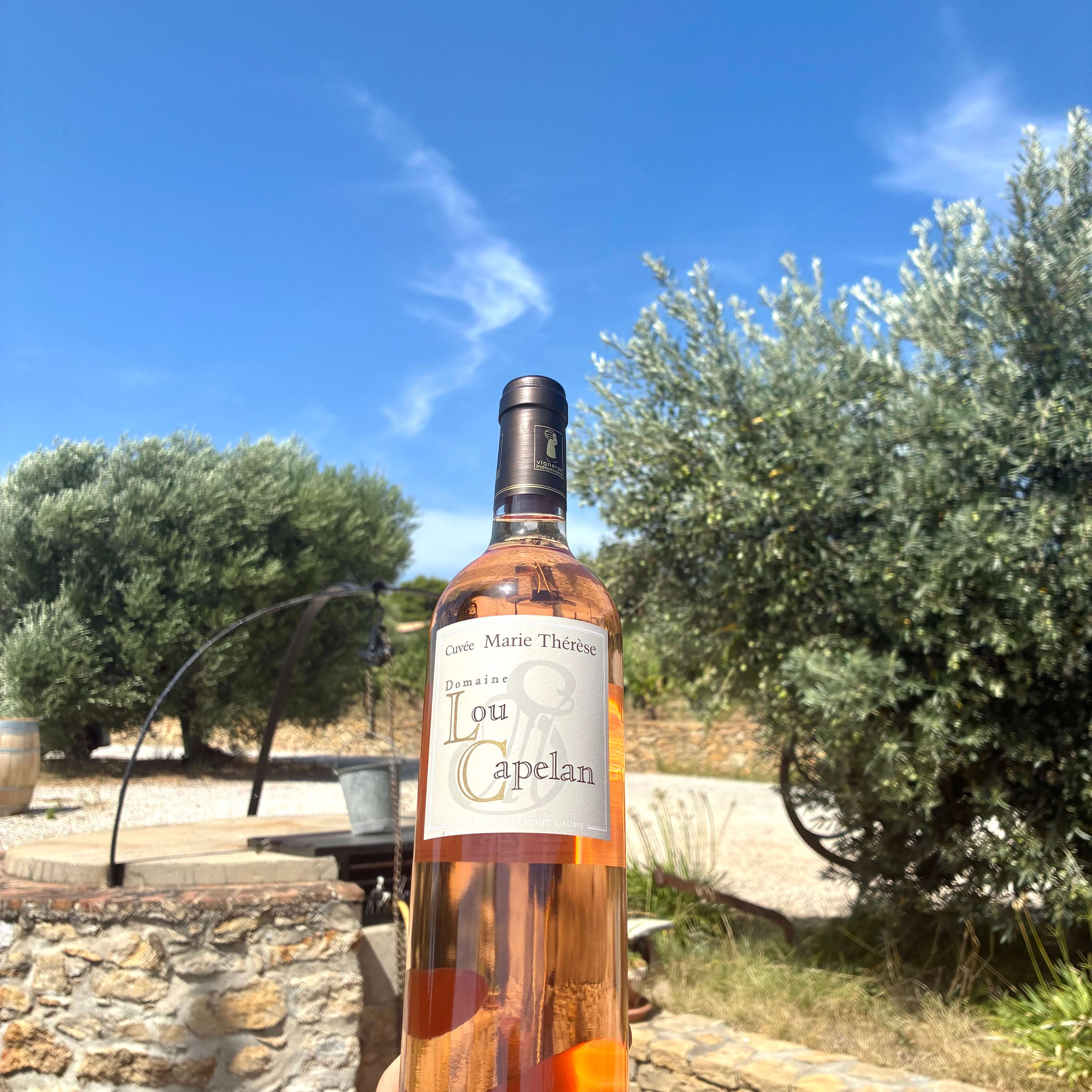 Mont Caume rose 2025